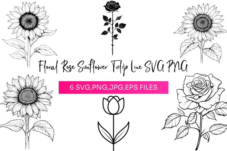 Rose PNG Image 5