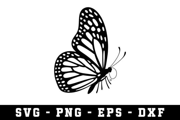 Butterfly SVG | SVG Cut files | Cricut