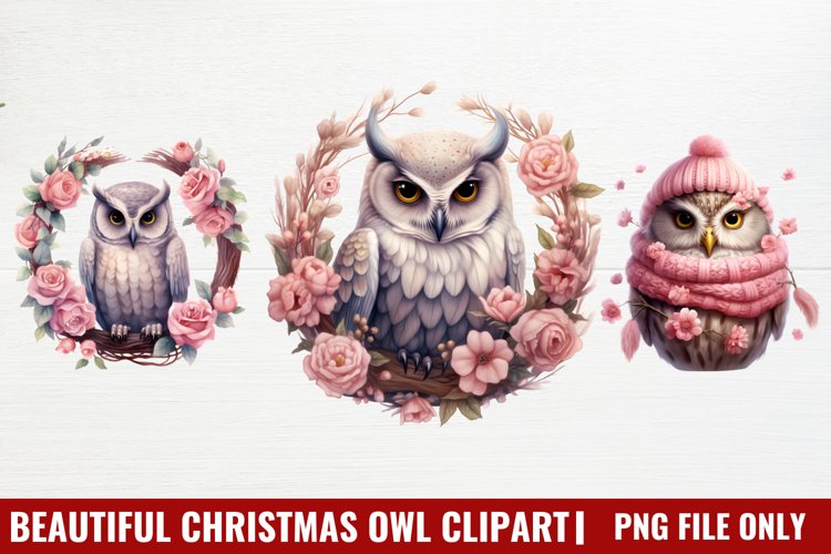 Owl Clipart Image 4