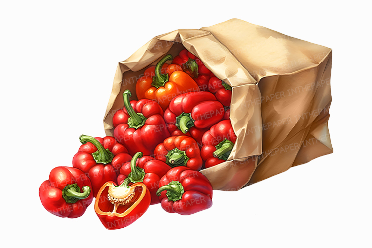 Grocery Bag Clipart