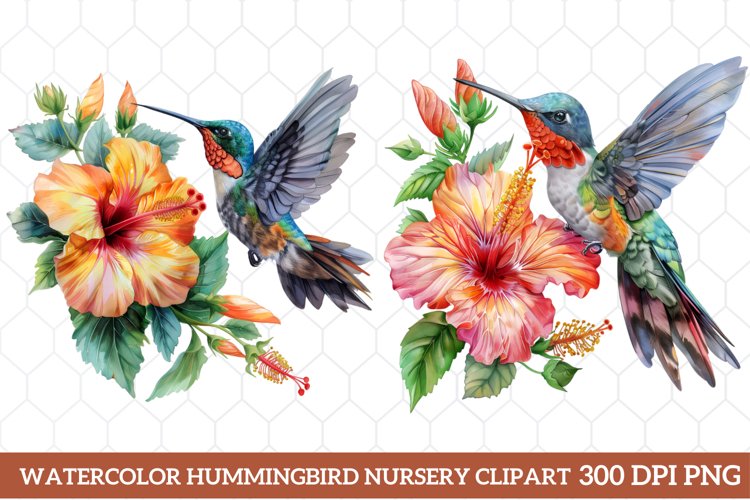 Hummingbird Clipart Image 20