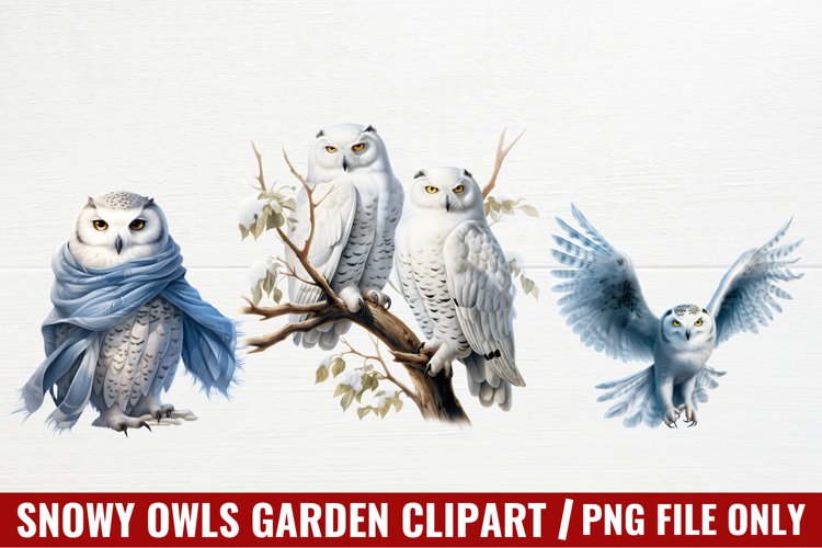 Christmas Snowy Owls Garden Clipart