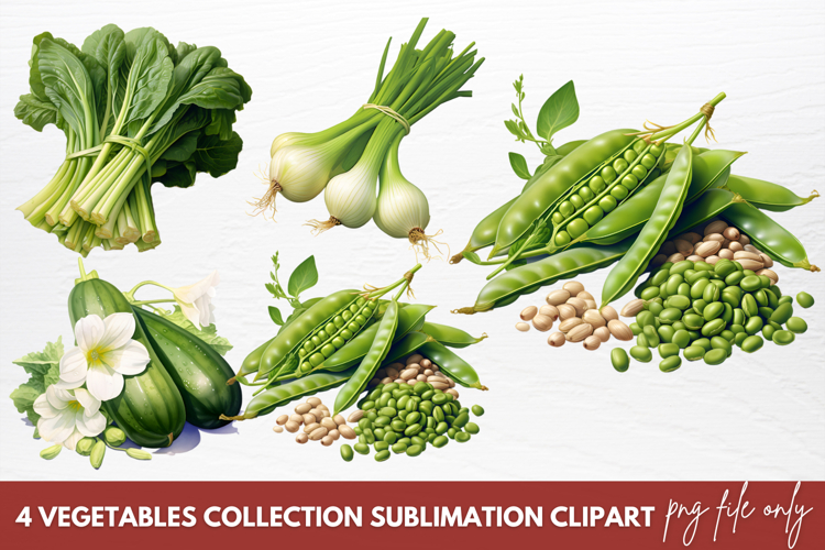 Vegetables PNG Image 6
