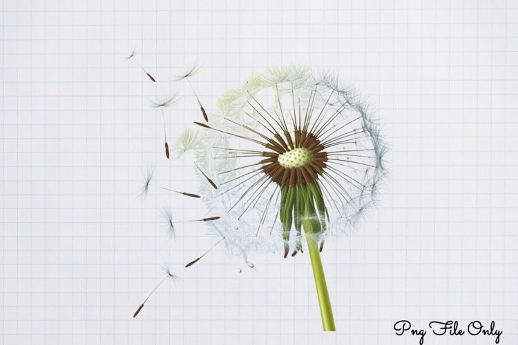 Boho Clipart Image 16