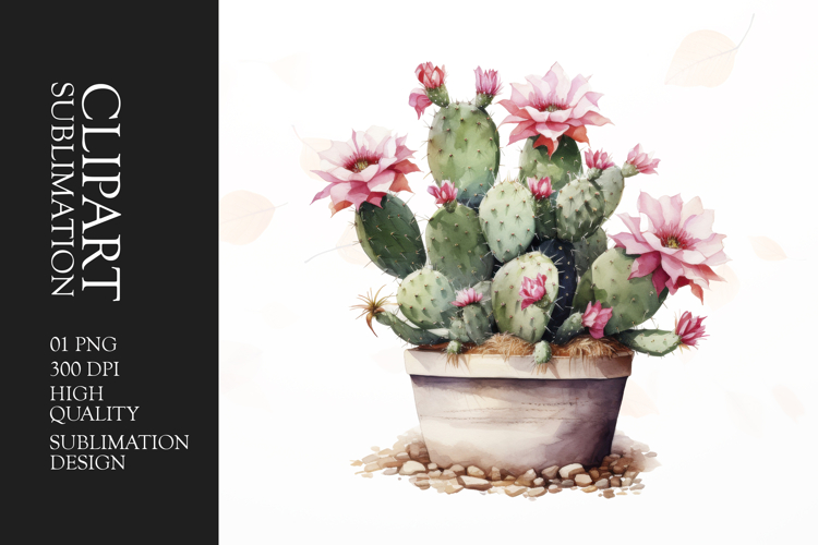 Watercolor Cactus Clipart Image 17