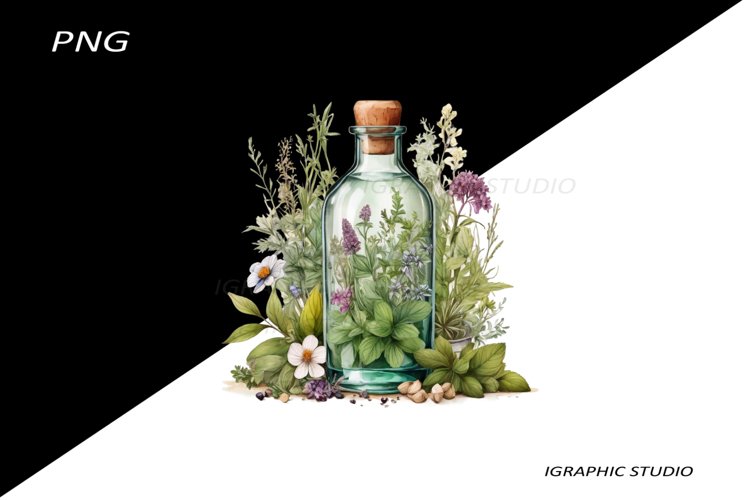 Watercolor bottle and herbs clipart