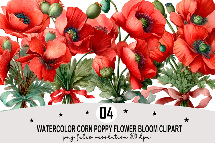 Watercolor Corn Poppy Flower Bloom Clipart Watercolor PNG