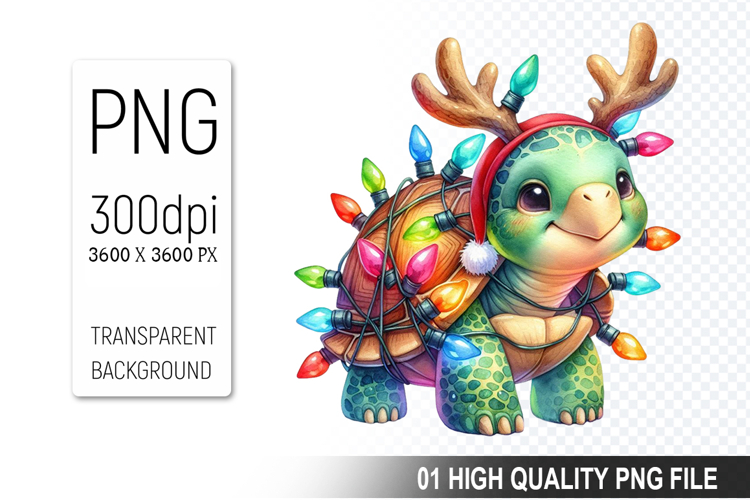 Turtle Png Image 23