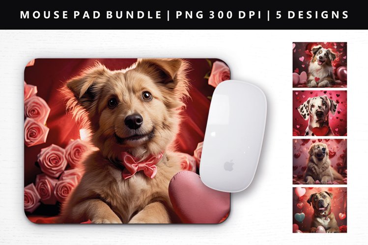 Valentines PNG Image 11