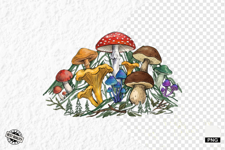 Summer Clipart Image 7