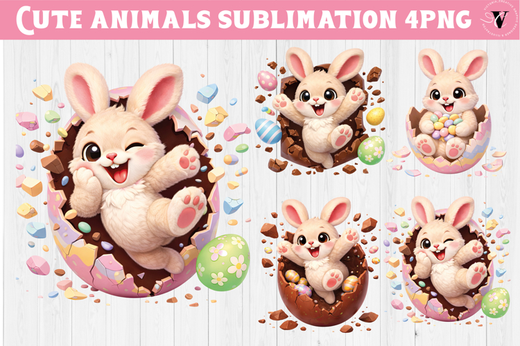 Bunny Clipart Image 12