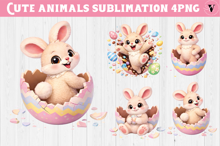 Bunny Clipart Image 10