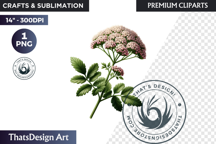 Medicinal Herbs clipart PNG, Apothecary Botanical Graphic