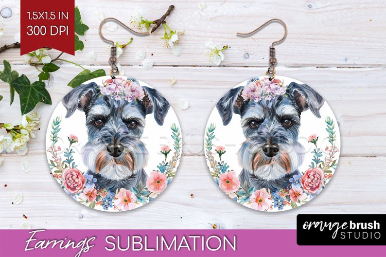 Earrings Png Image 21