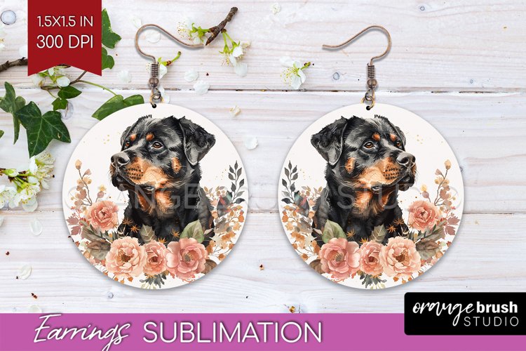 Earrings Png Image 19