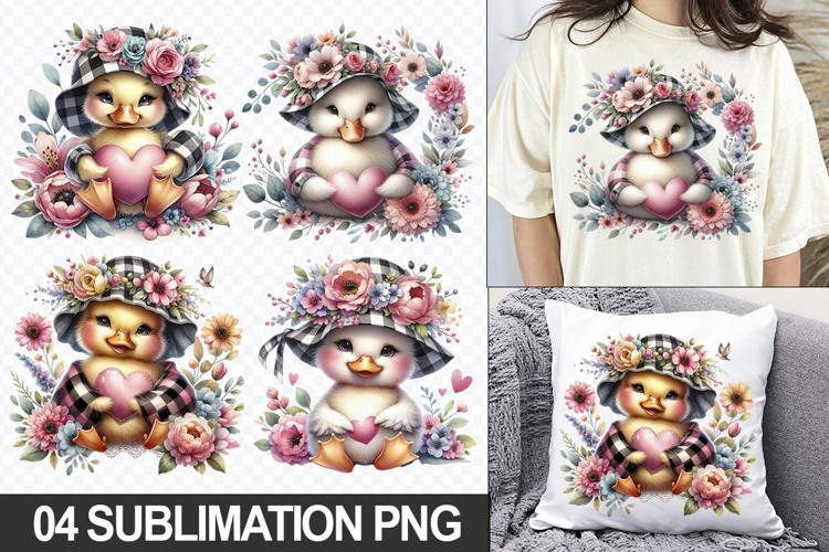 Duckling Png Image 14