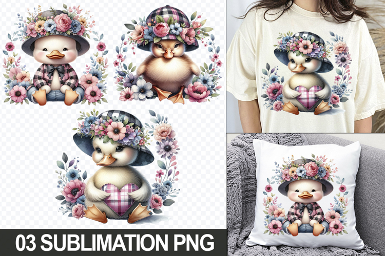 Duckling Png Image 15