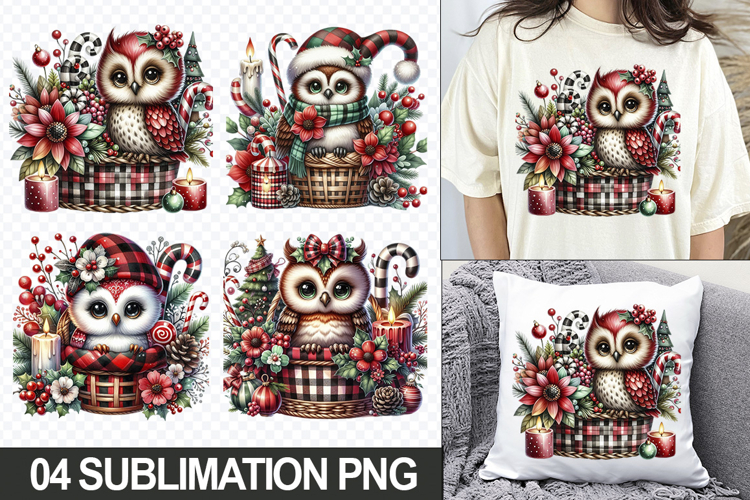 Christmas Owl Sublimation Clipart, 04 PNG Designs