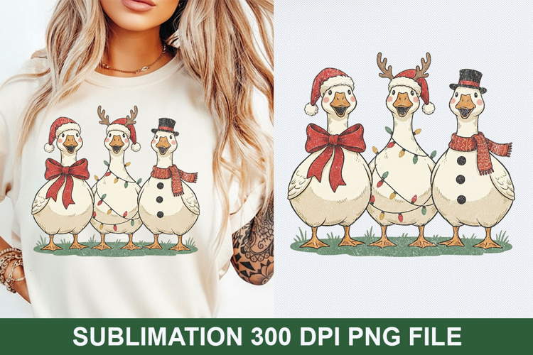 Christmas Png Image 12