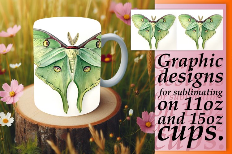 Butterfly Clipart Image 17