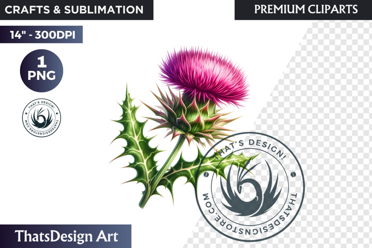 Medicinal Herbs clipart PNG, Apothecary Botanical Graphic