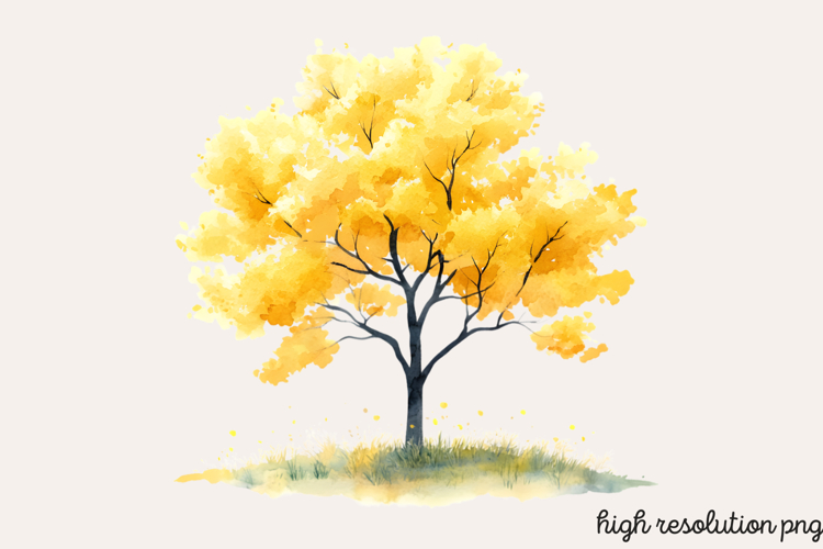 Baum Png Image 20