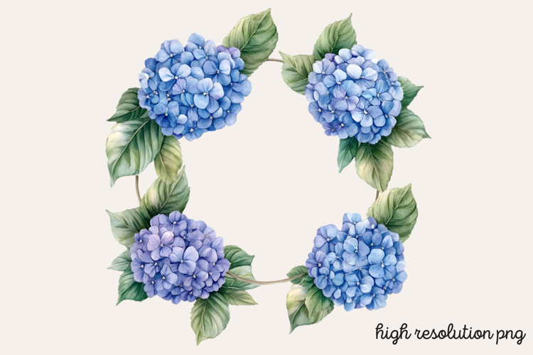 Hydrangea Png Image 21
