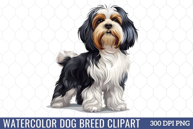 Spring Clipart Image 14