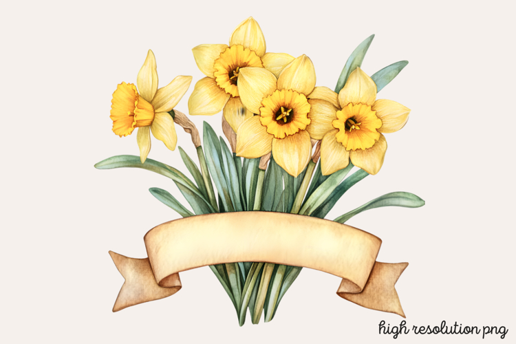 Daffodils Clipart Image 6