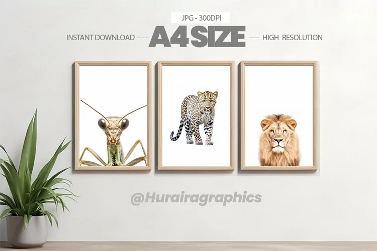Animal Wall Art - 03 Variations