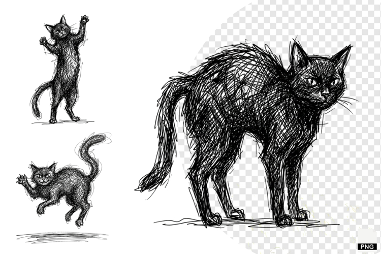 Halloween Black Cats PNG
