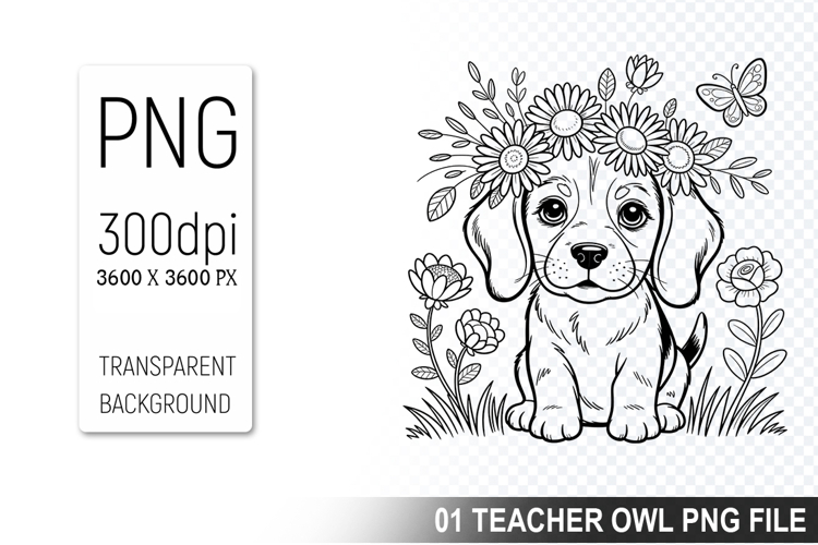 Pet Illustration Image 17