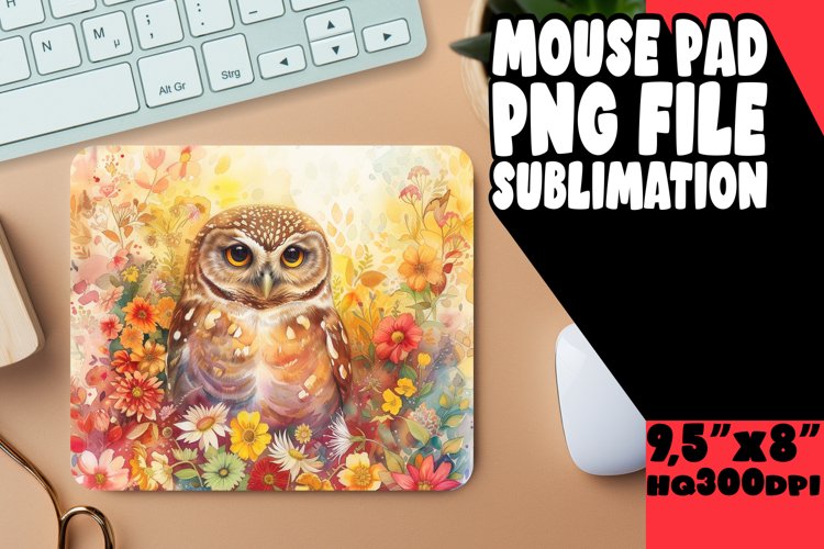 Owl Clipart Image 18