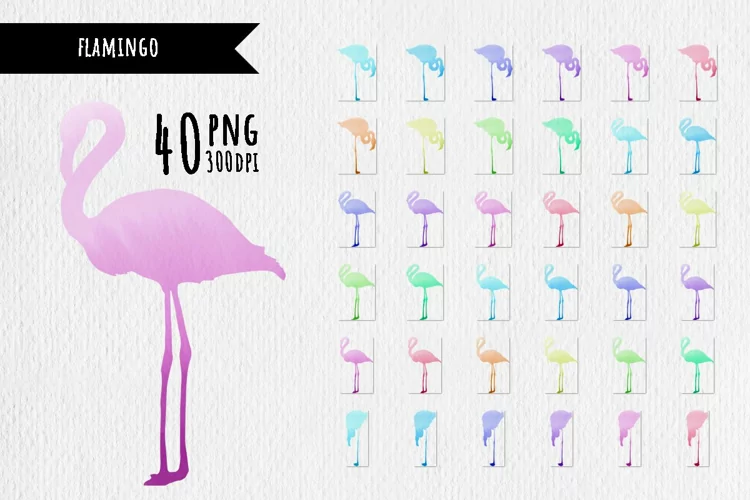 40 Watercolor backgrounds. Flamingo