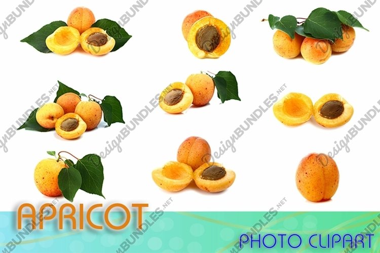 Fruit Clipart Image 7