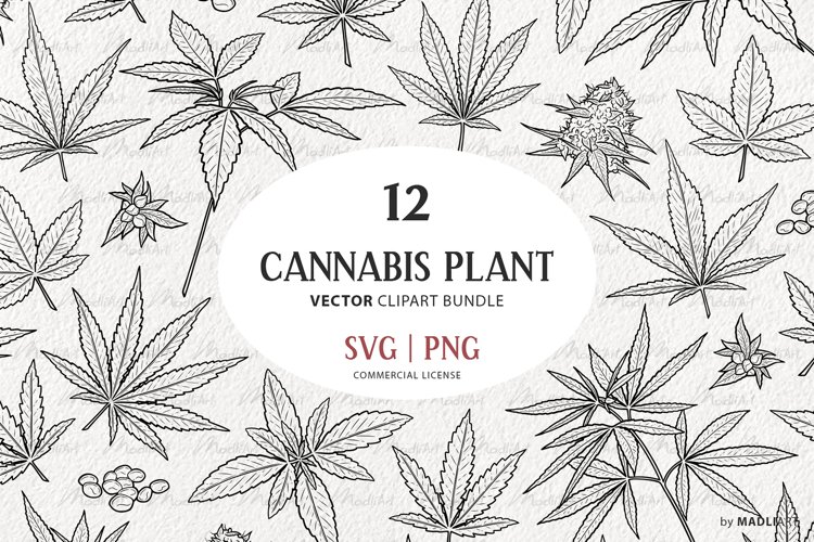 12 Cannabis Leaves Vector Clipart Weed Hemp Leaf SVG 12-cannabis-leaves-vector-clipart-weed-hemp-leaf-svg