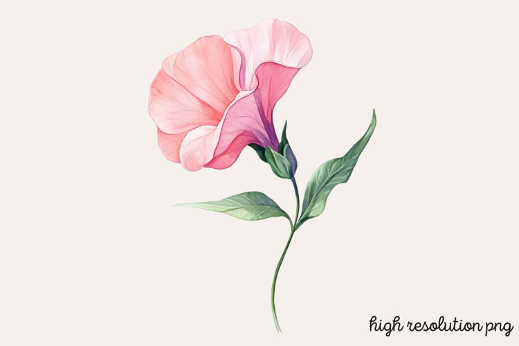 Flower Clipart Png Image 20