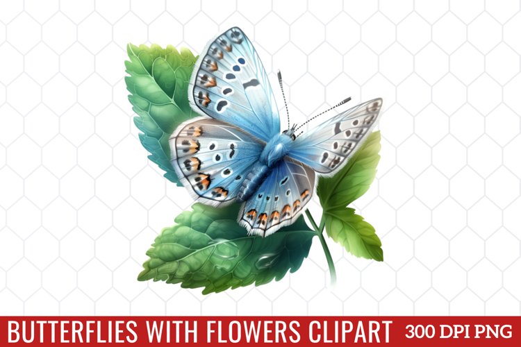 Butterfly Clipart Image 7