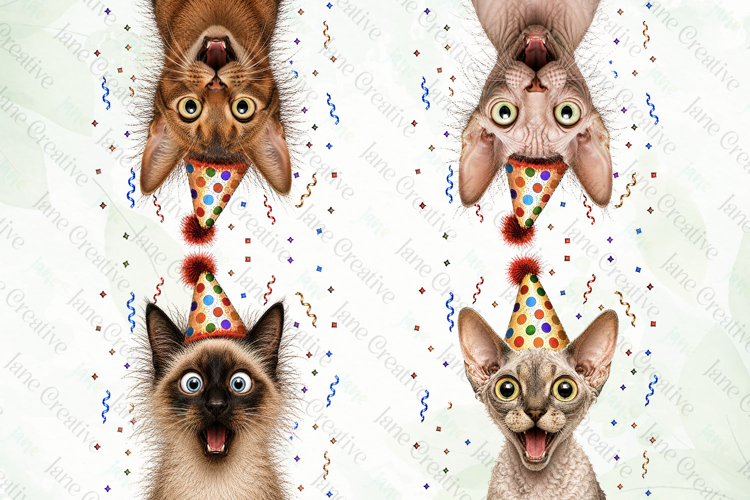 Surprise Birthday Cat PNG Clipart