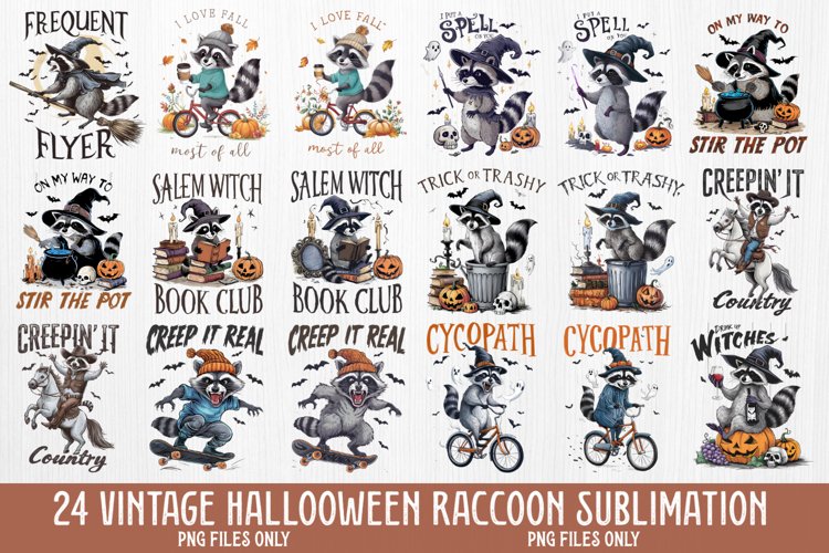 Raccoon Clipart Image 6