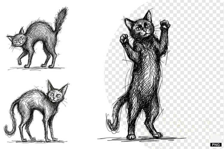 Halloween Black Cats PNG
