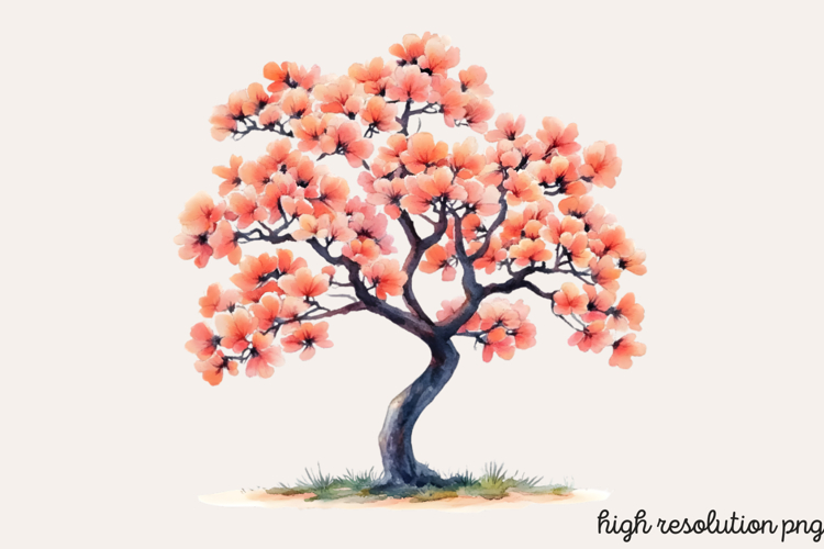 Baum Png Image 22