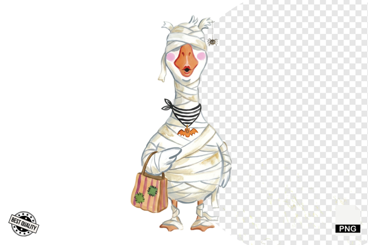 Goose Illustration Image 8