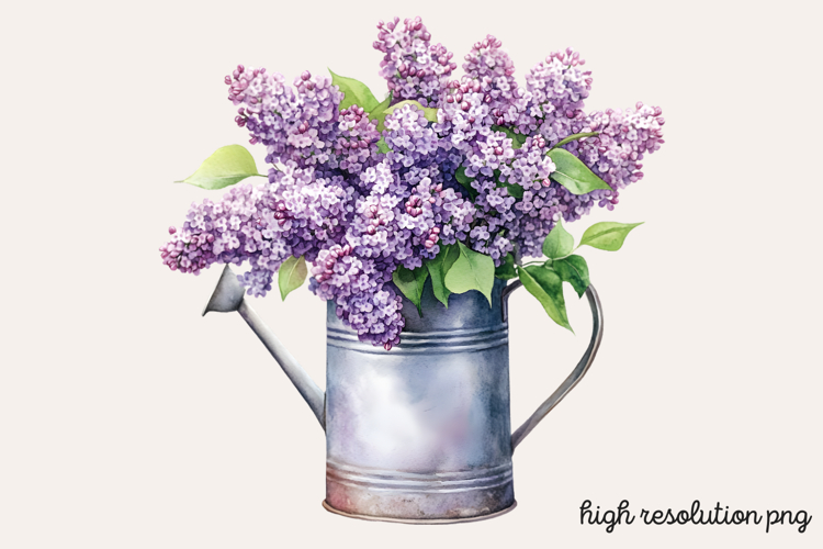 Lilac Illustration Image 18