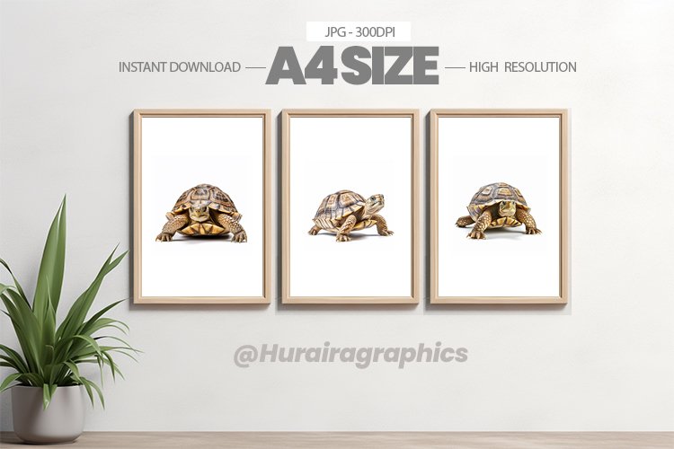 Animal Wall Art - 03 Variations