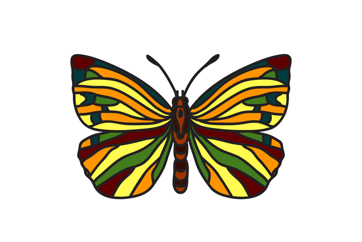 Butterfly Icon Image 7