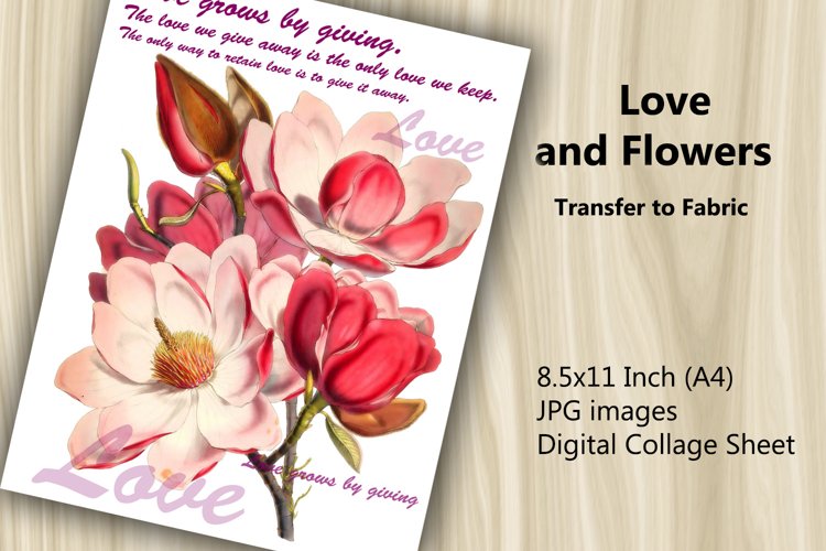 Magnolia Clipart Image 7