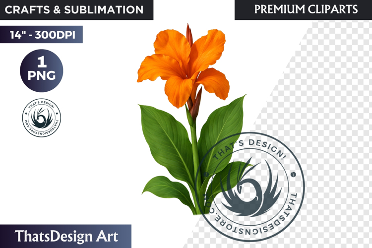 Lavender Png Image 23