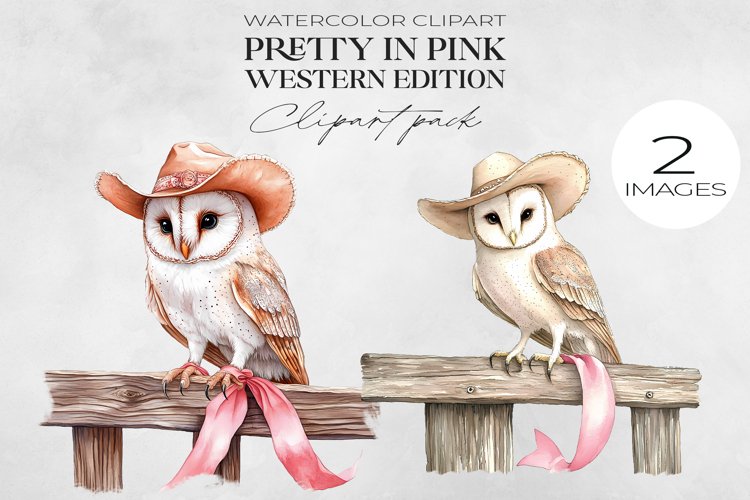 Watercolor Western Clipart, Wild West Cowgirl, Country PNG.