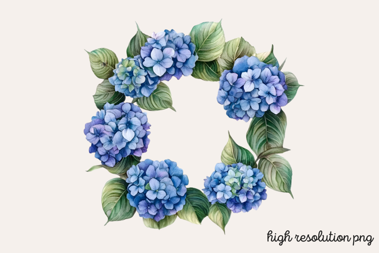 Hydrangea Png Image 18
